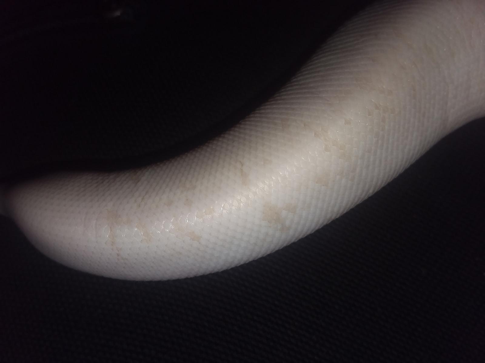 Lilith