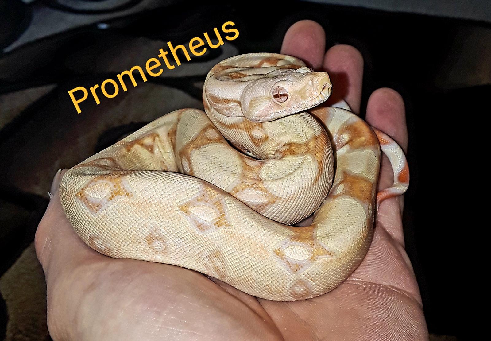 Prometheus on arrival 10/16/2018
