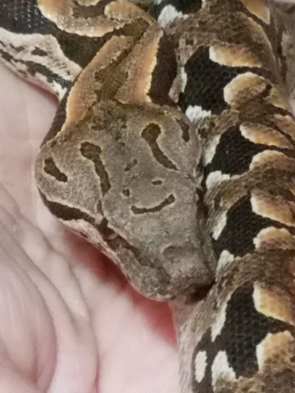 Smile