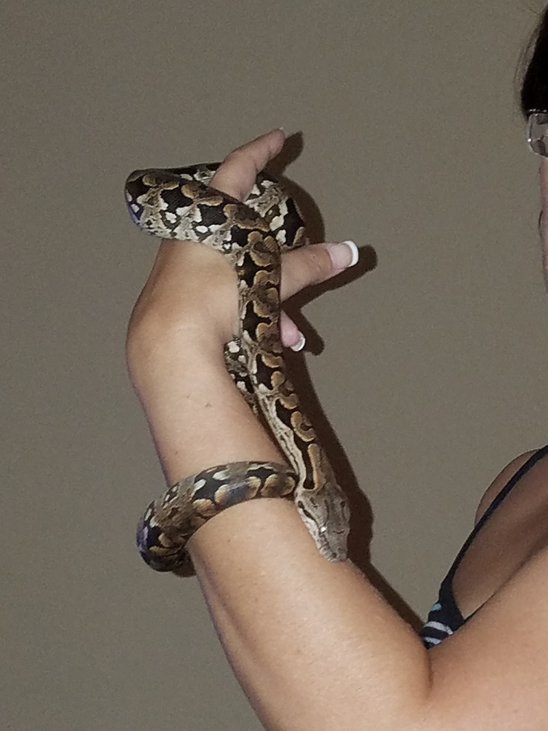 Getting big