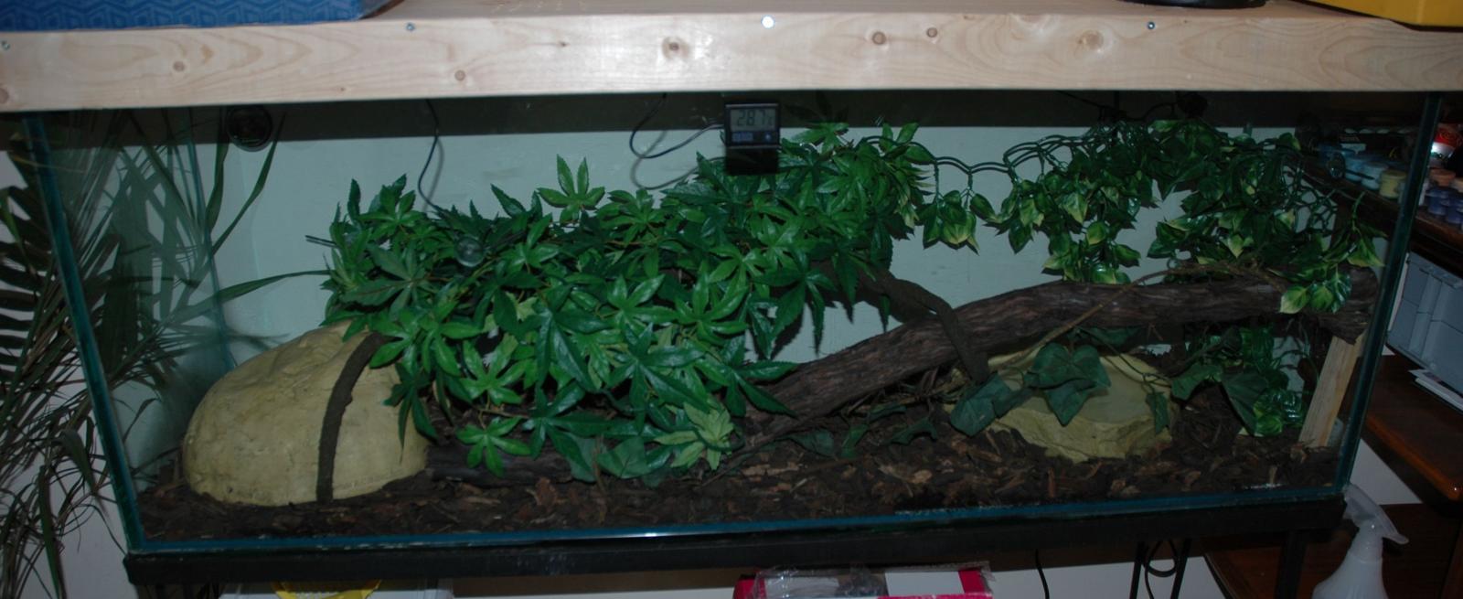 Snake Tank 3 Resized