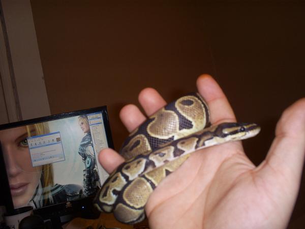 Orochimaru 2