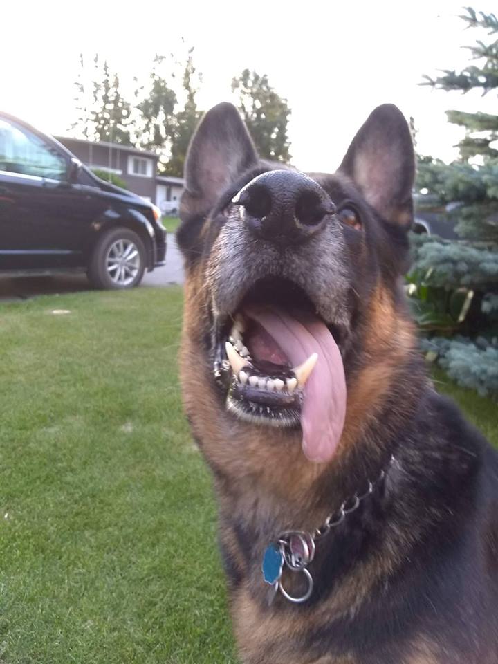 A Big Goof