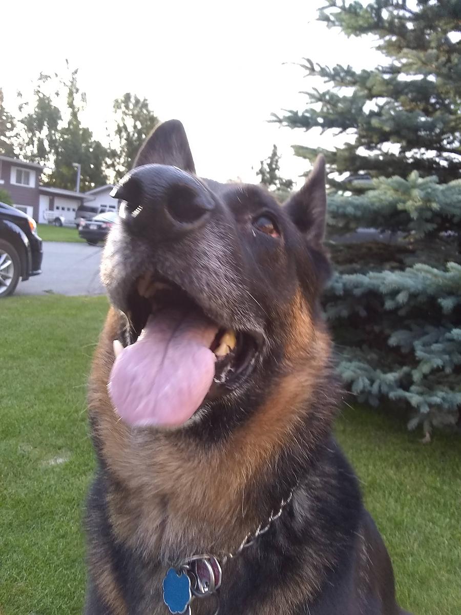 A Big Goof