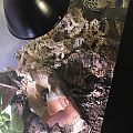 First BP Tank Setup