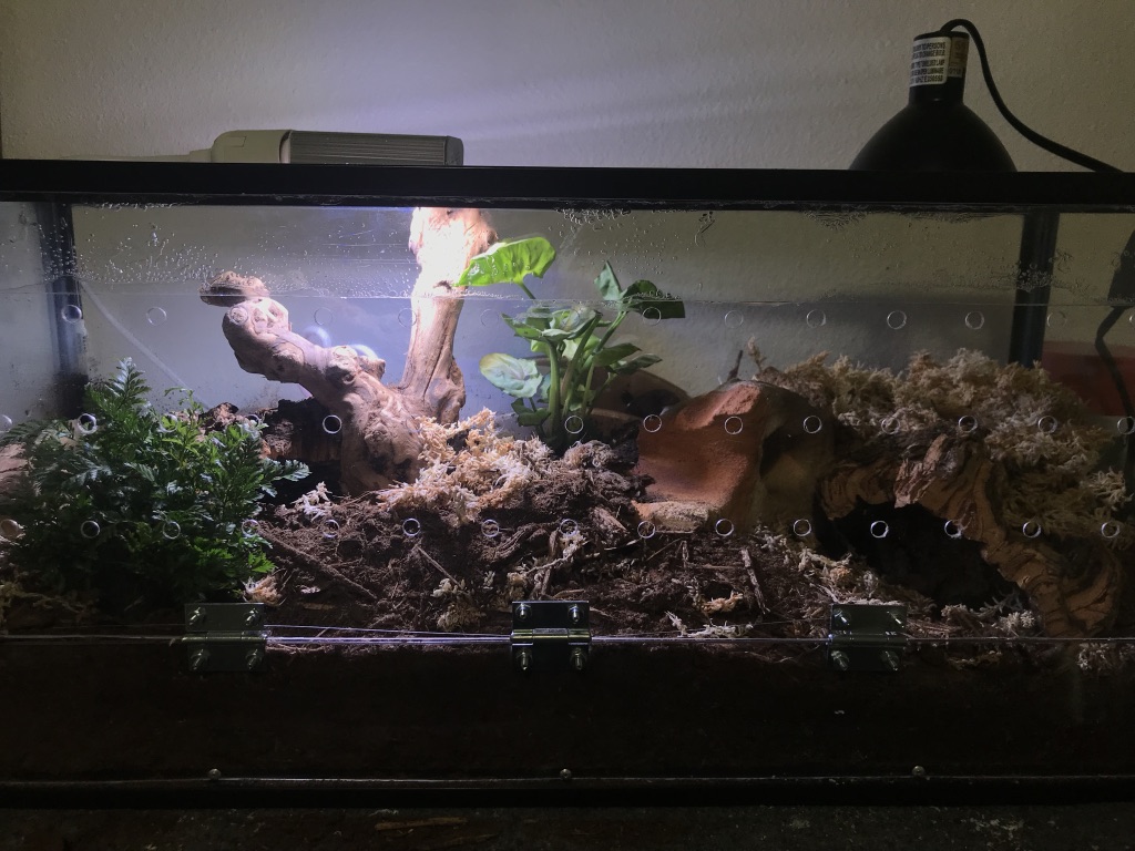First BP Tank Setup