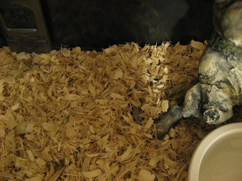 Hiding
