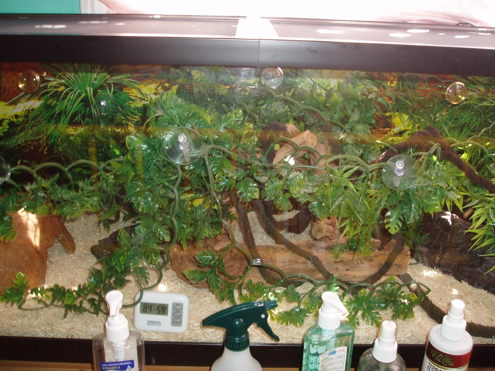 Vivarium