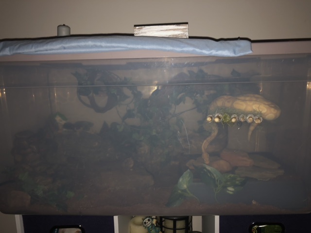 Zukos Tub