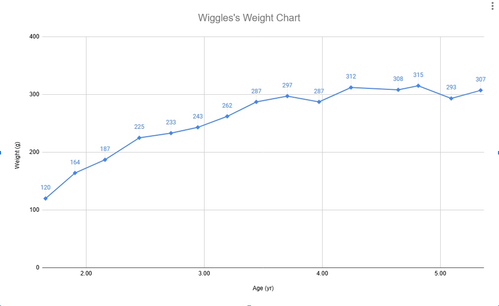 Wiggles's Weight Chart 12/1/25