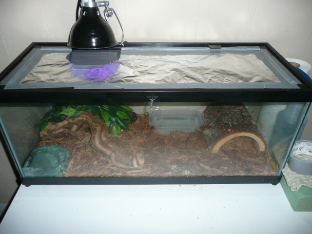 Aquarium