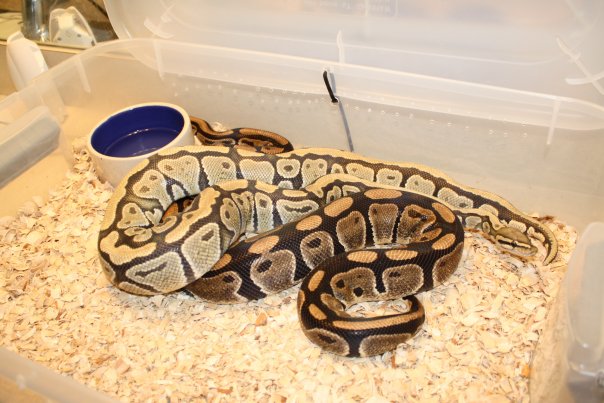 Casper & Esmeralda