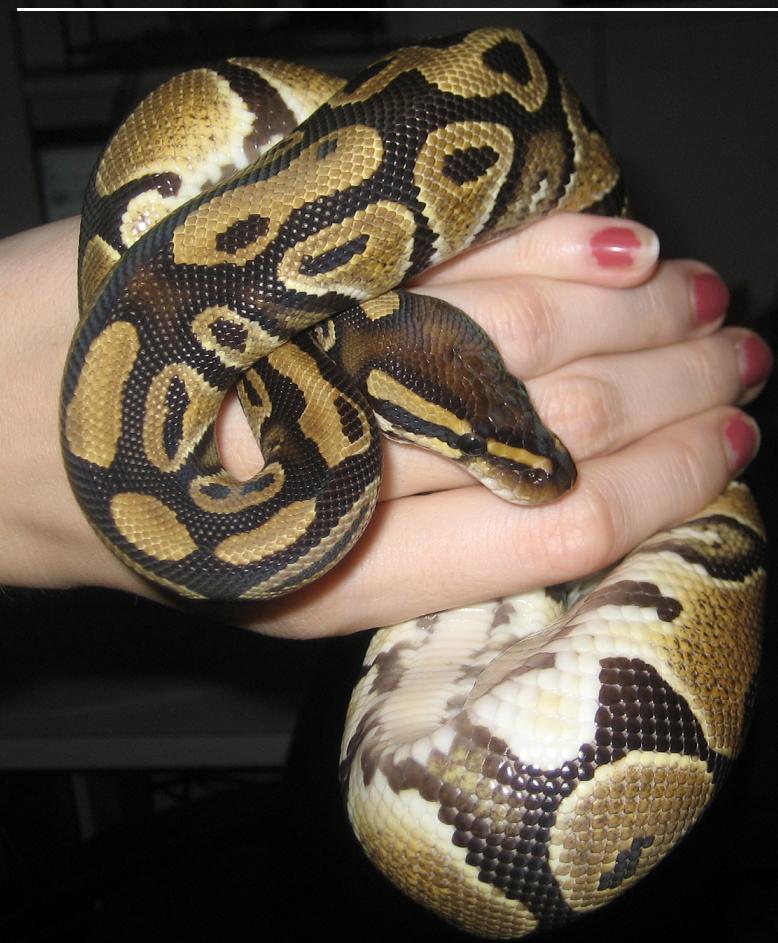 Post Shed