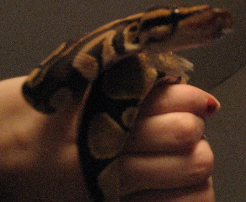 Post Shed