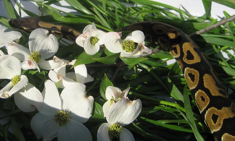 Uli With Flowers