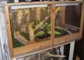 Vivarium V1