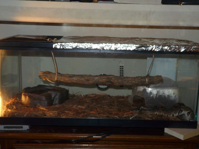 Bill