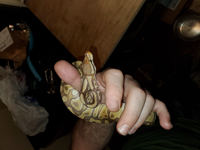 0.1 Caramel