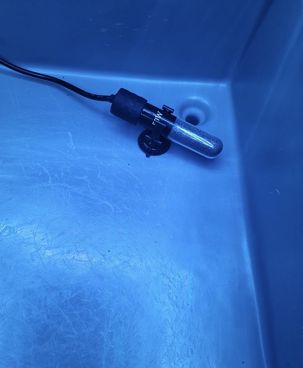 Diy incubator
