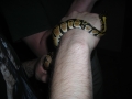 Ezekiel