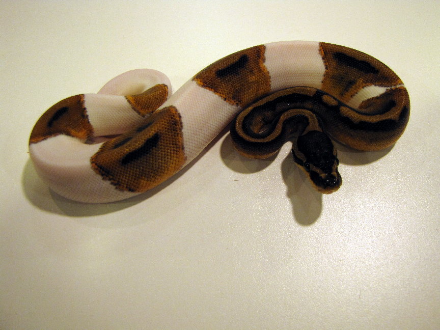 Super Pastel pieds