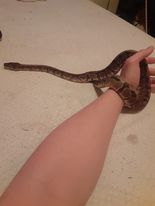 My rescued baby