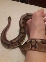 My rescued baby