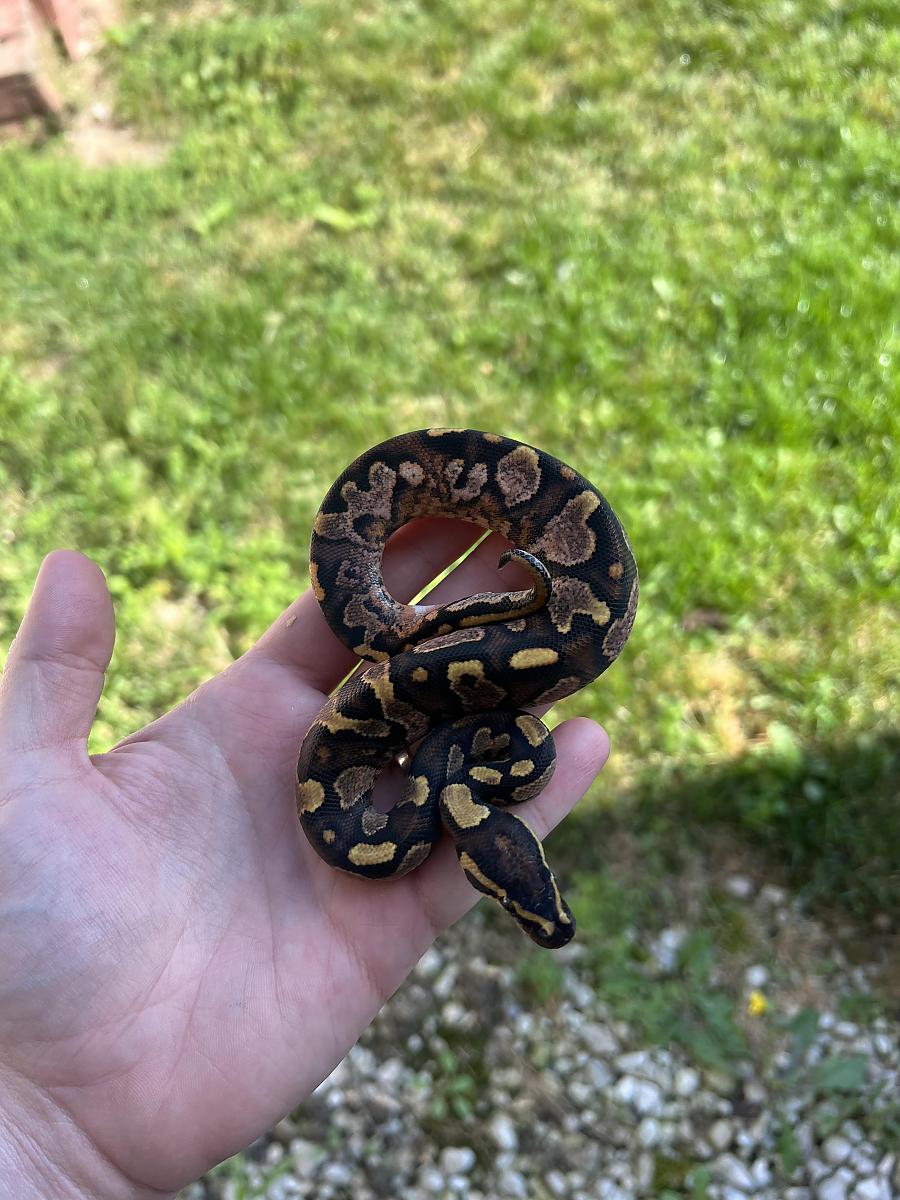 baby #1