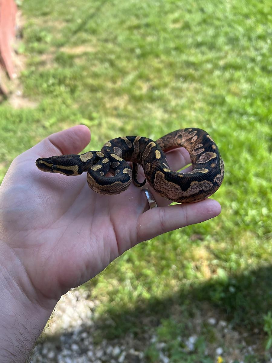 baby #1