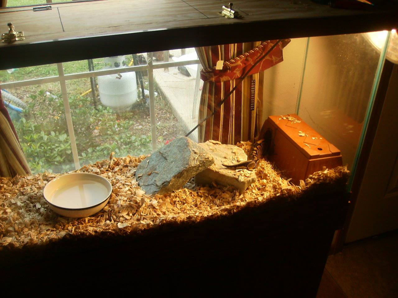 Far Right Side