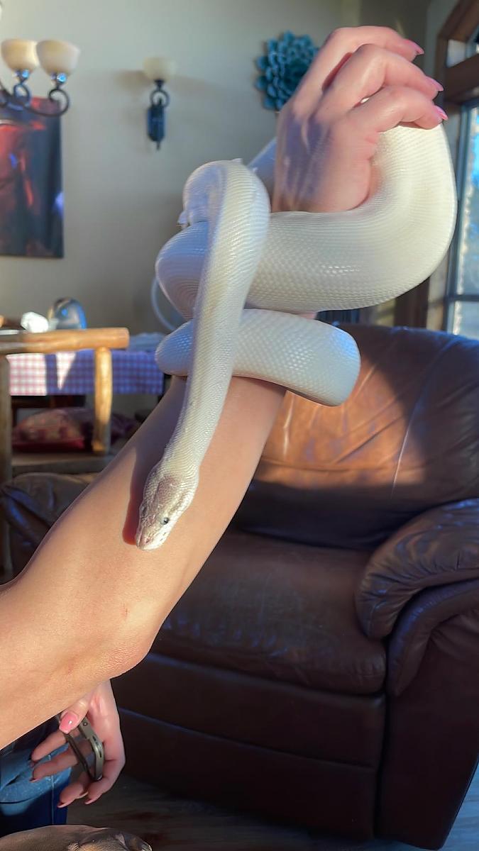 Super Mojave