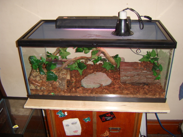 The Tank