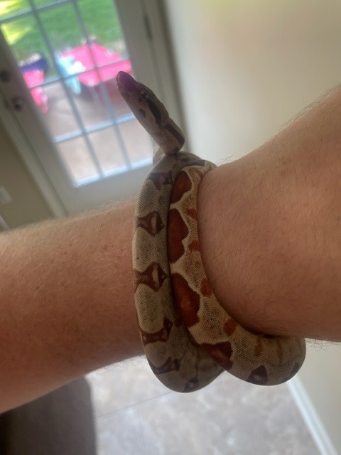 New Watch