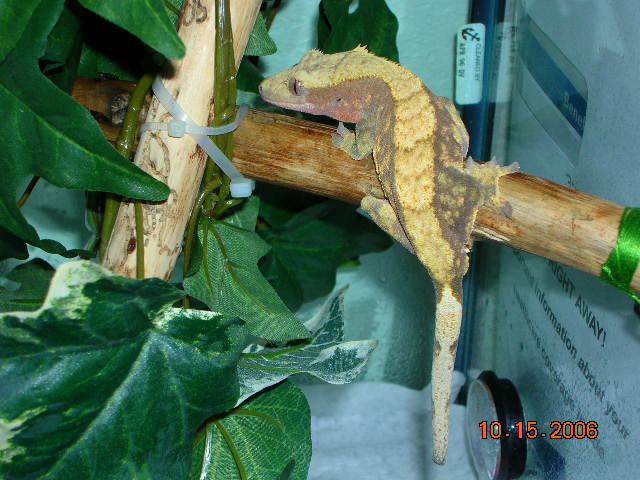 DSCN2338