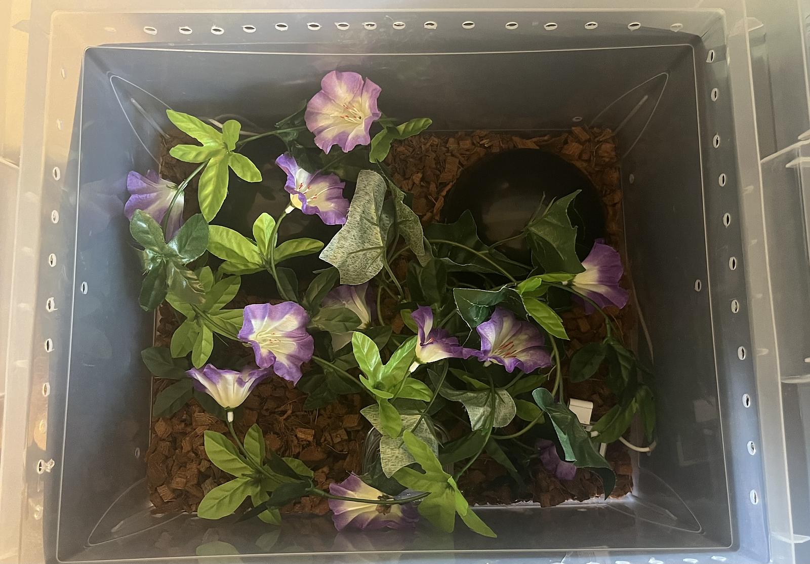 Enclosure with decor/coverage added