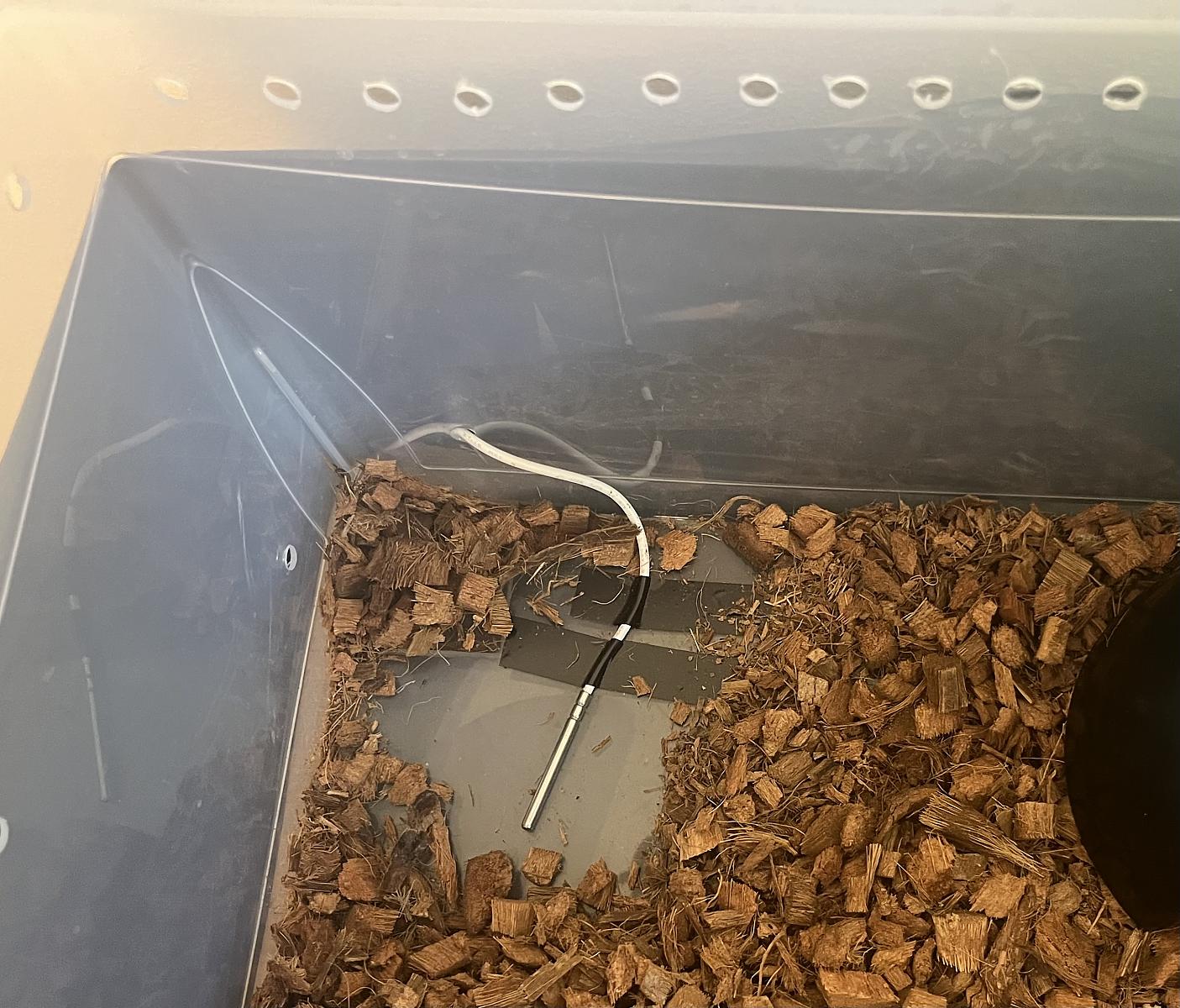 Current probe location on warm side inside enclosure - Rubys enclosure: 28 May, 2024