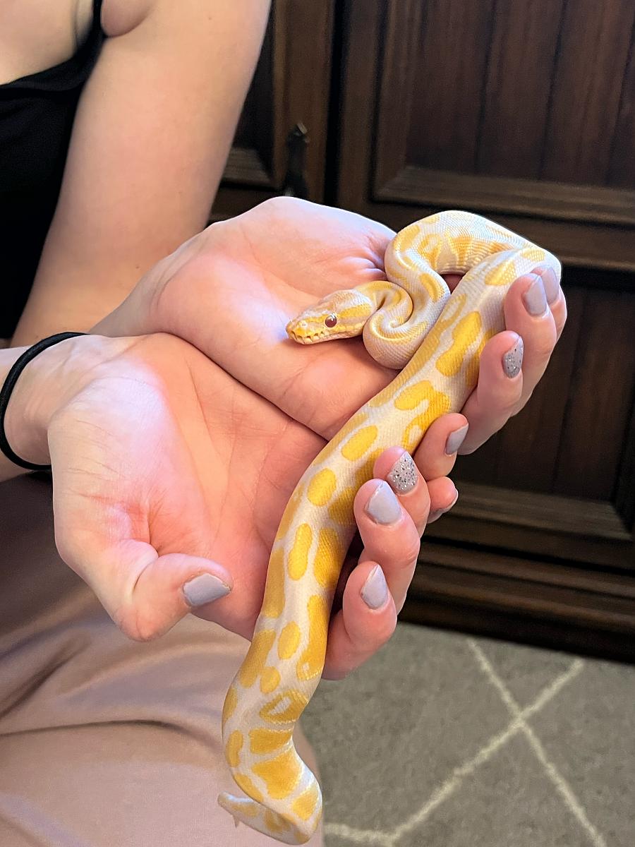My noodle at 2 months old :)