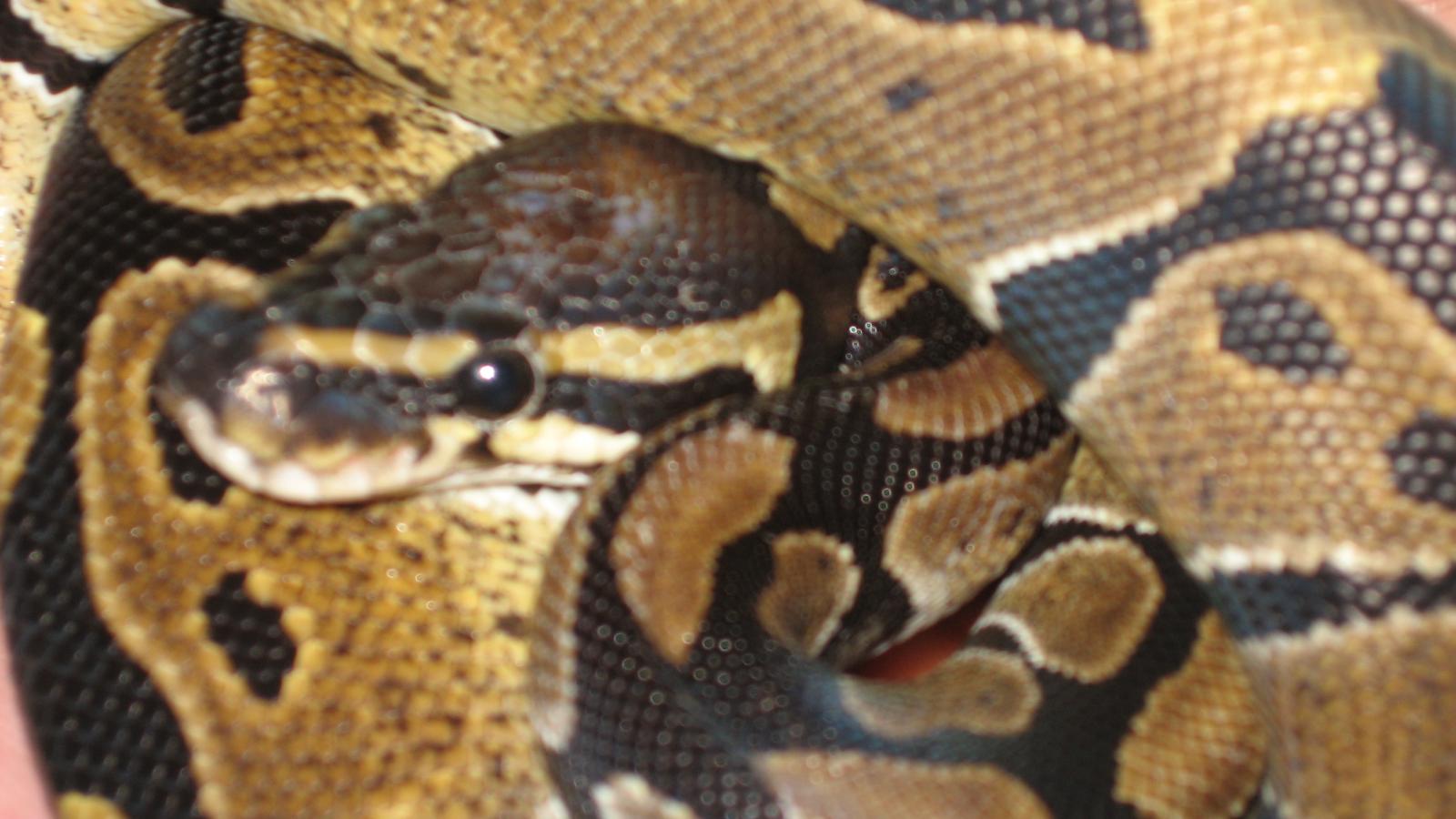 Picture 965556