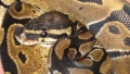 Picture 965556