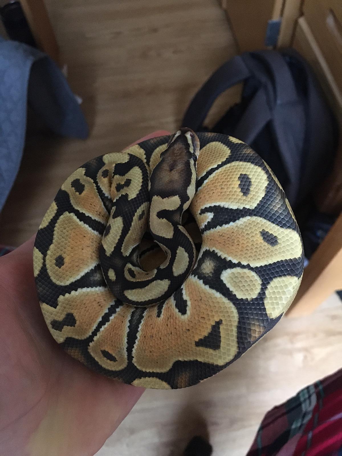 bp on horizontal hand