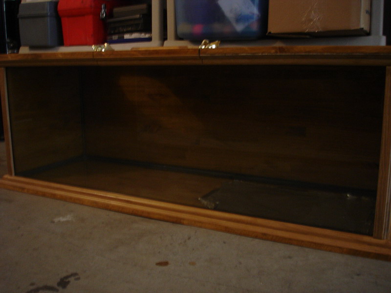 New Tank Set-up