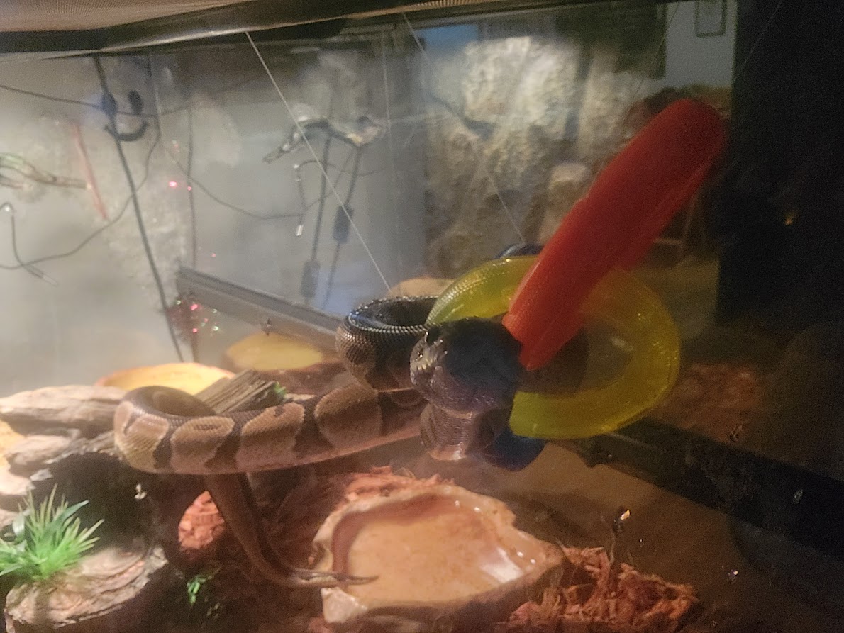 Remi Playing on his toy
