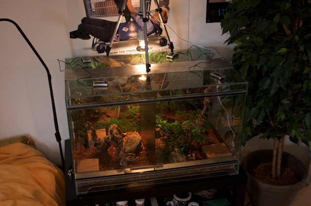 Divided Vivarium