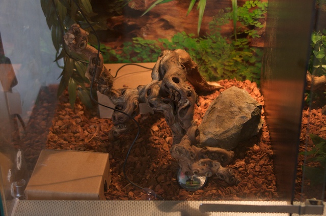 Divided Vivarium