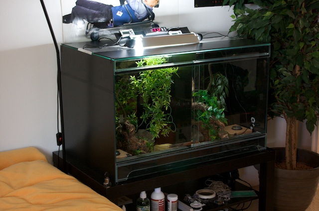 Vivarium V2