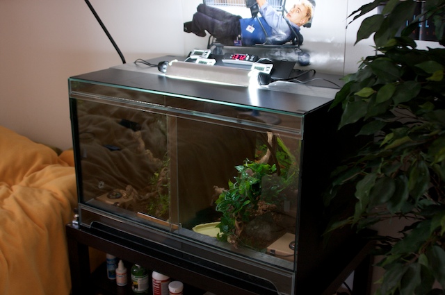 Vivarium V2