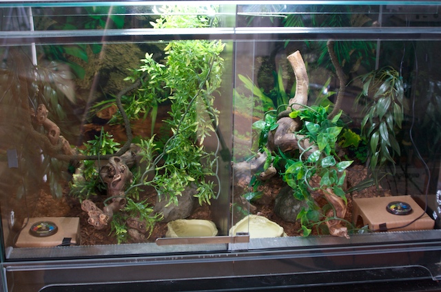 Vivarium V2
