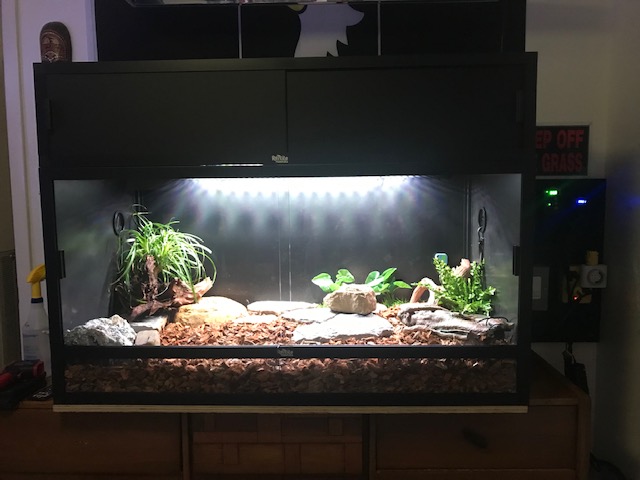 Bella's Enclosure