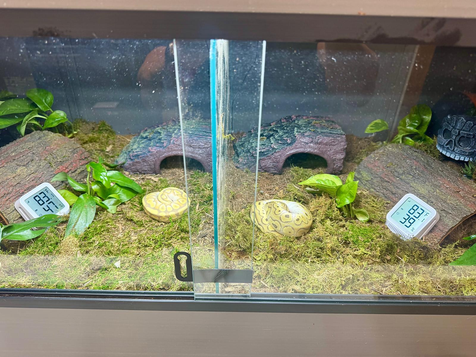 Enclosure