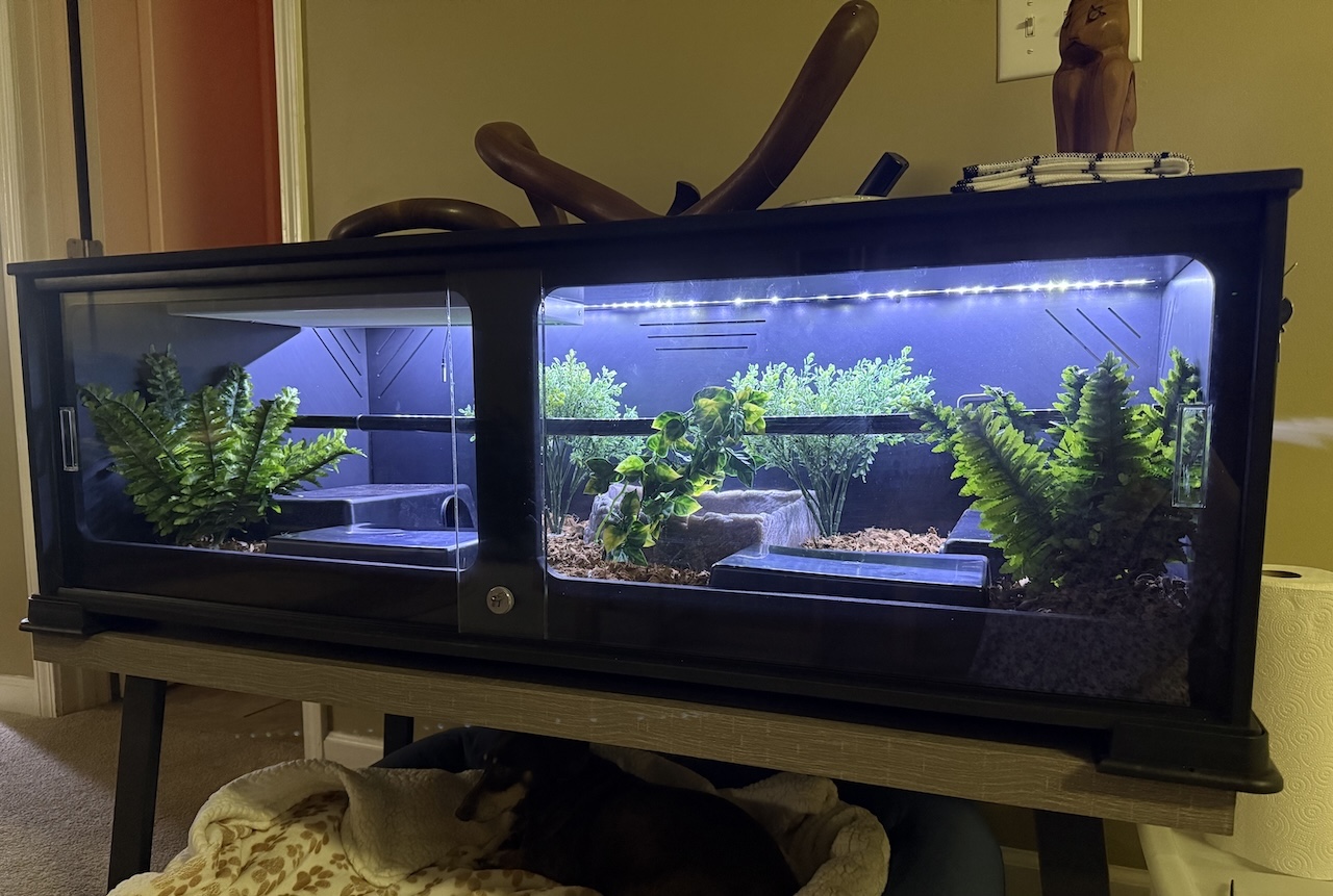 Harvey's New Home